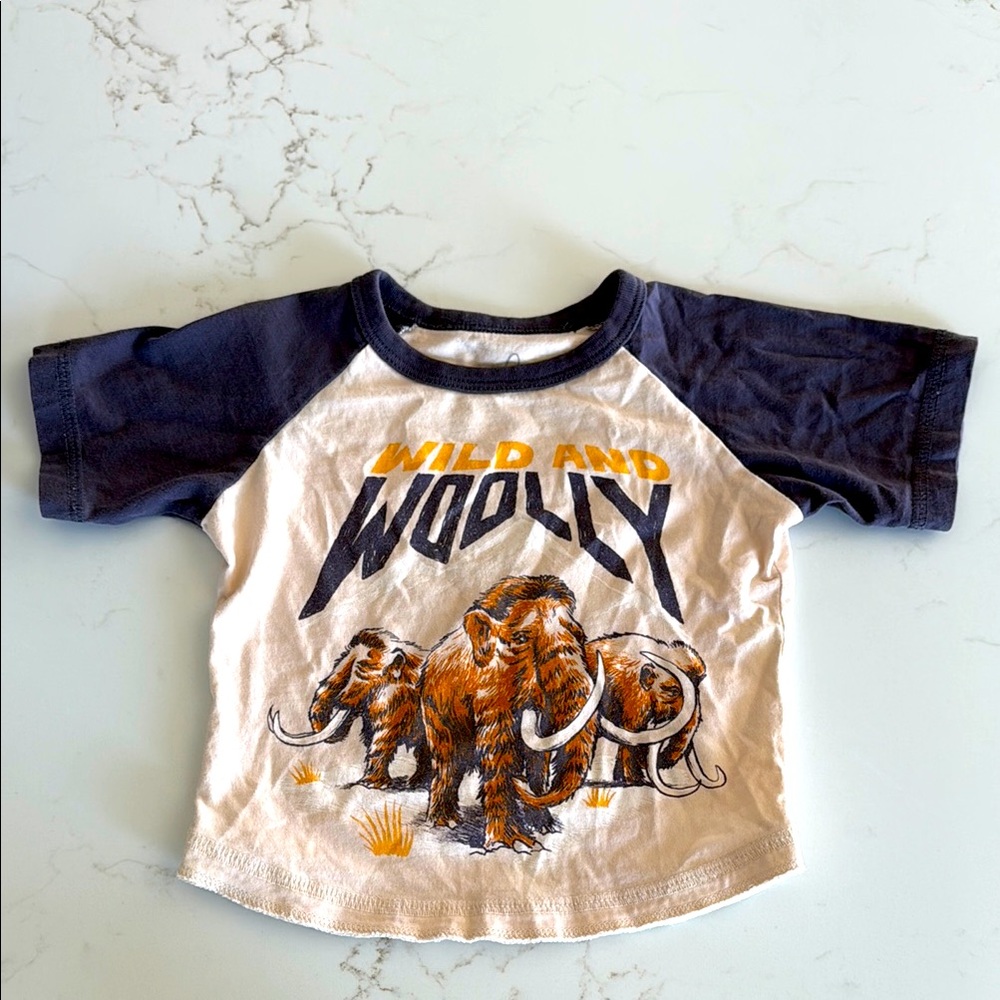 Peek Kids Raglan T-Shirt - size 6-12 months